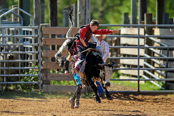 Bull Riding-67