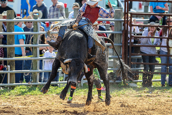 Bull Riding-204