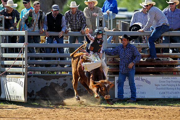 Bull Riding-22