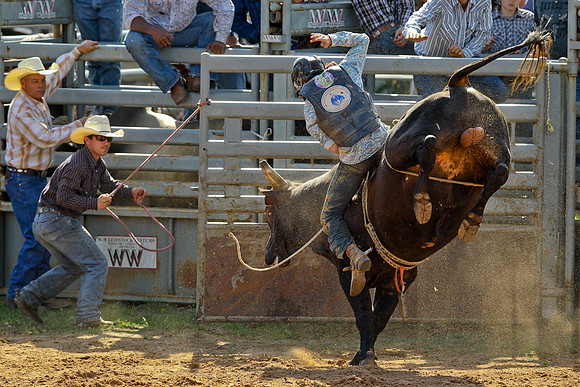 Bull Riding-137