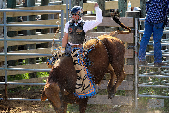 Bull Riding-225