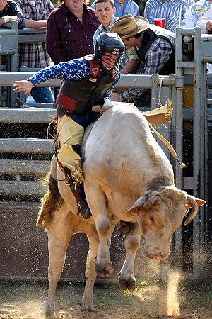 Bull Riding-246