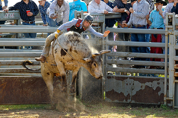 Bull Riding-151