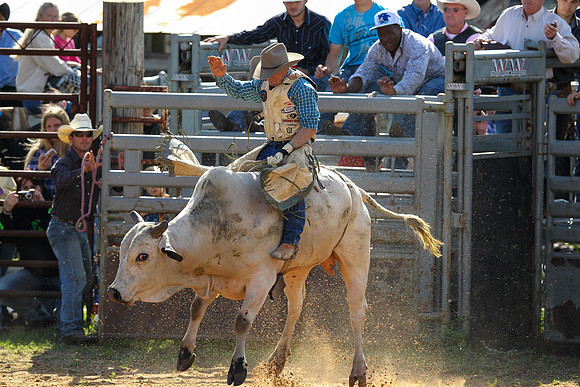 Bull Riding-181
