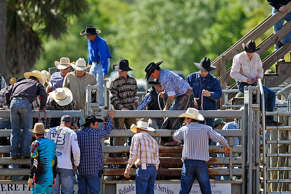 Bull Riding-34