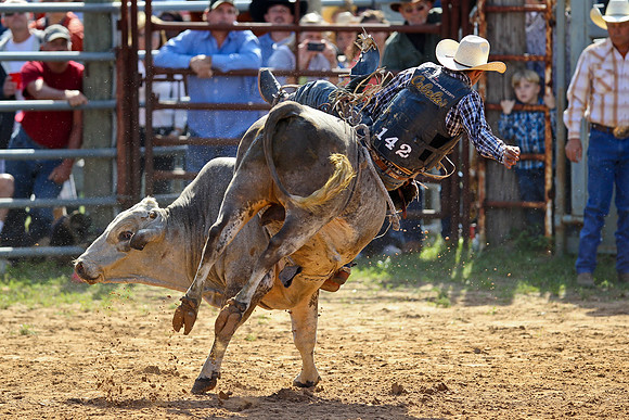 Bull Riding-95