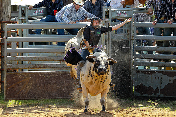 Bull Riding-118