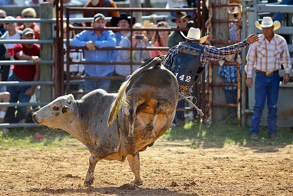 Bull Riding-96