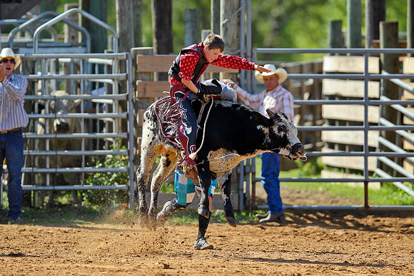Bull Riding-65