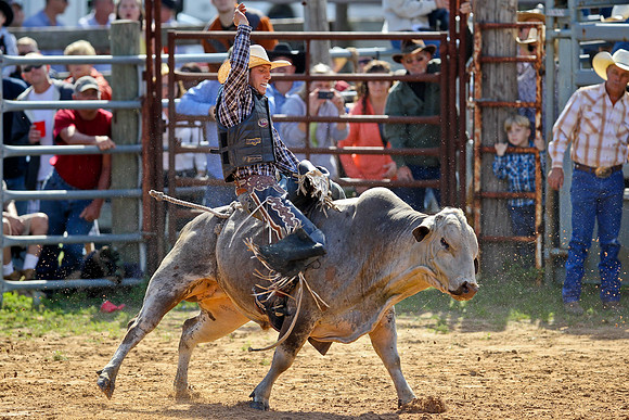 Bull Riding-93