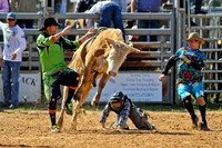 Bull Riding-8