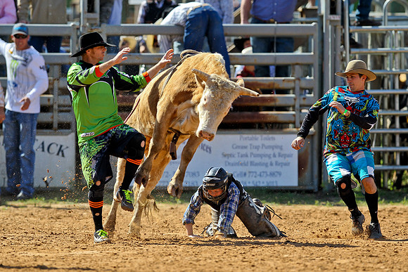 Bull Riding-8