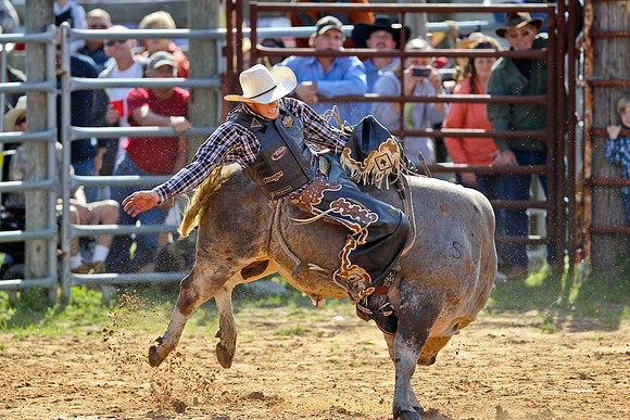 Bull Riding-94
