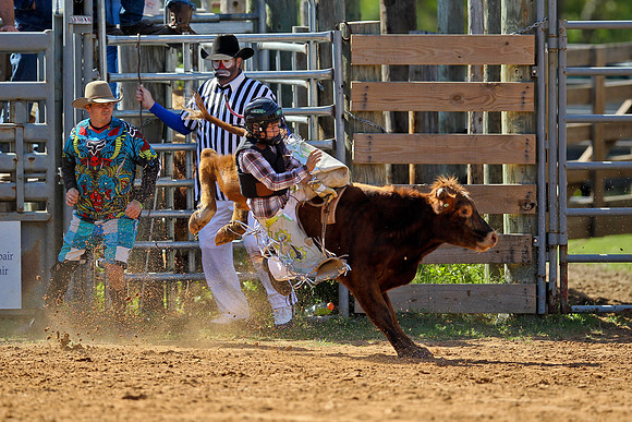 Bull Riding-30