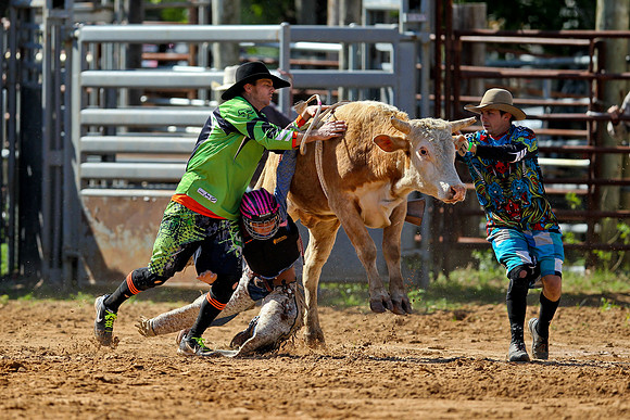 Bull Riding-43