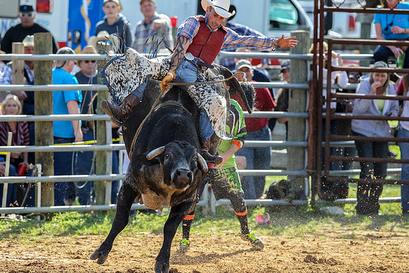 Bull Riding-205