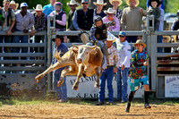 Bull Riding-2