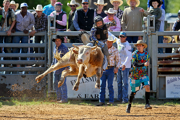 Bull Riding-2
