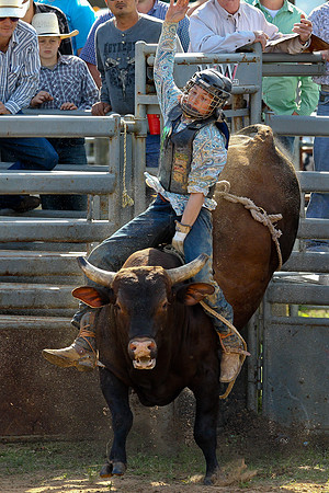 Bull Riding-132