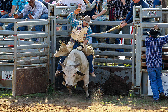 Bull Riding-165