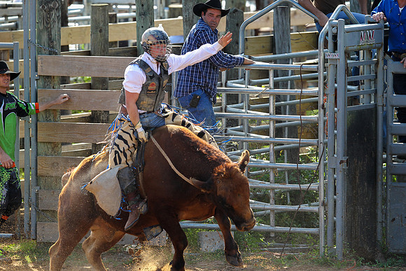 Bull Riding-223