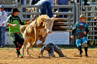 Bull Riding-7