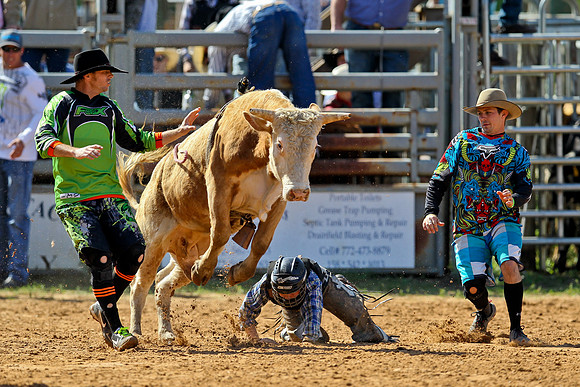 Bull Riding-7