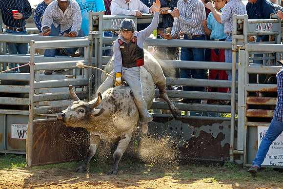 Bull Riding-148