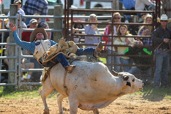 Bull Riding-185
