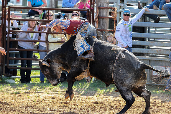 Bull Riding-201