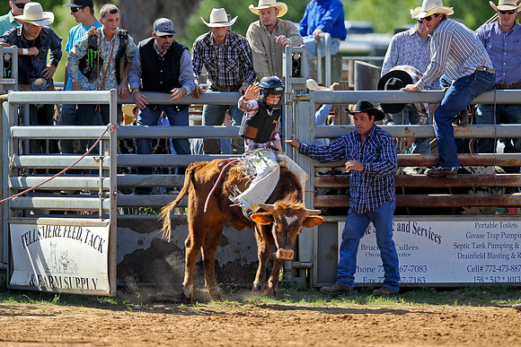 Bull Riding-21