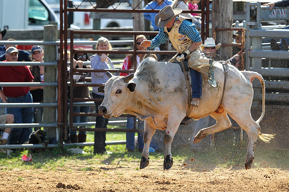 Bull Riding-183