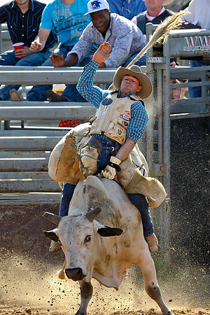 Bull Riding-169