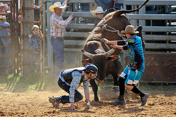 Bull Riding-144