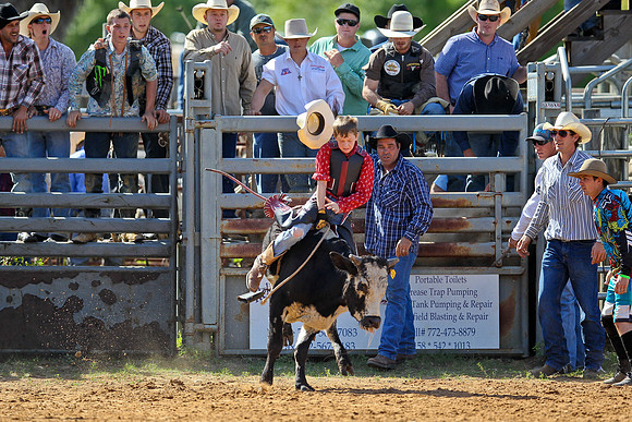 Bull Riding-51