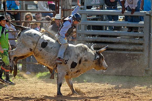 Bull Riding-160