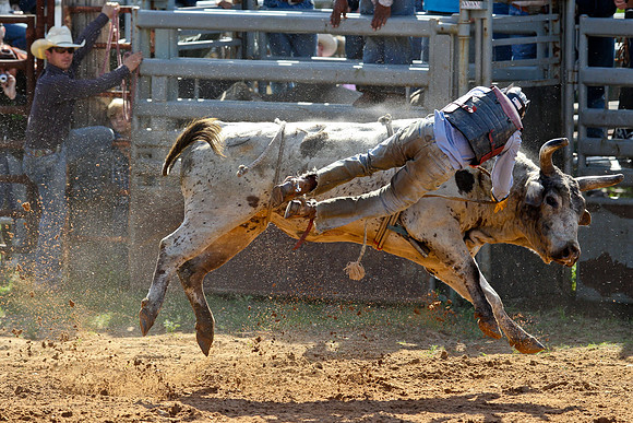 Bull Riding-162