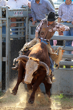 Bull Riding-238