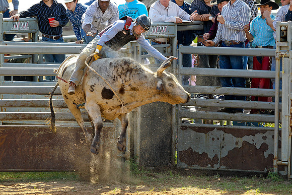 Bull Riding-152