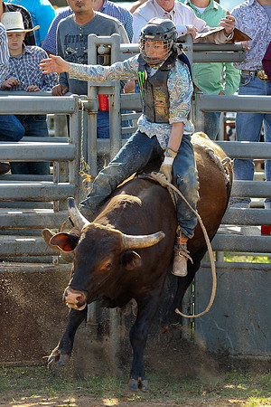 Bull Riding-131
