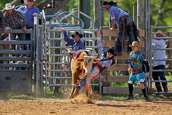 Bull Riding-38
