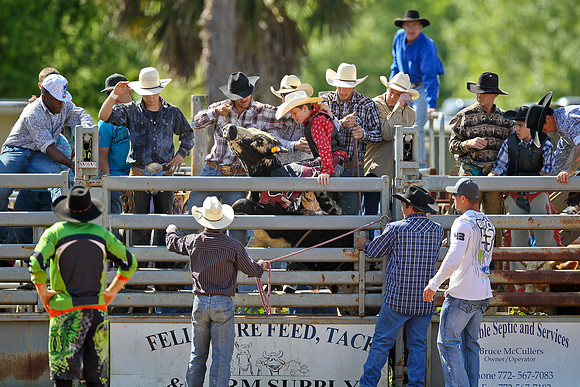 Bull Riding-32