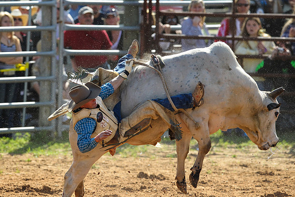 Bull Riding-188
