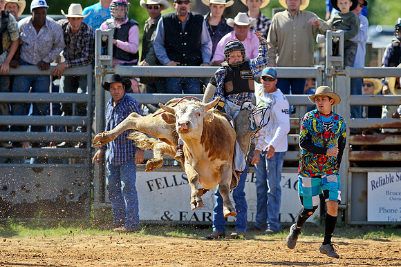 Bull Riding-3