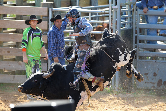 Bull Riding-215