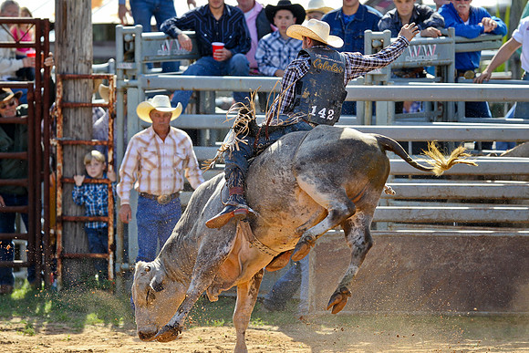 Bull Riding-90