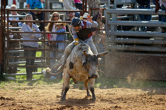 Bull Riding-161