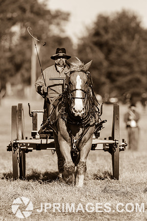33rd Brooksville Raid-12