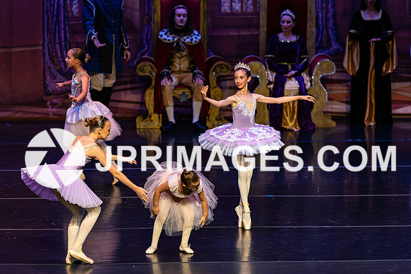 Sleeping Beauty307