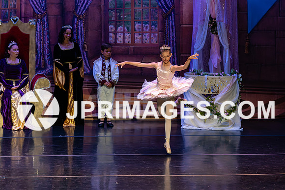 Sleeping Beauty1222